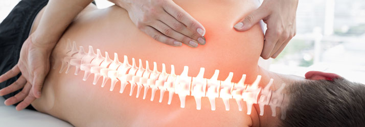 Chiropractic Pinellas Park FL Spinal Health Chiropractic Pinellas Park FL Spinal Health